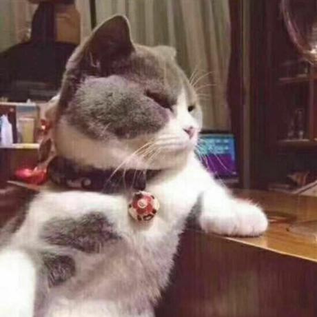 不不才于2019-08-02 23:10发布的图片