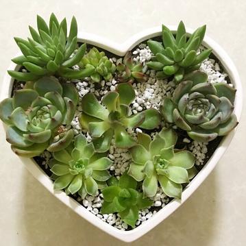 薛定谔的馒头于2019-08-20 09:24发布的图片