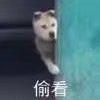 山河丶于2019-08-20 10:13发布的图片