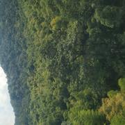 打码李铁匠的个人资料头像