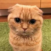 Lvan14824的个人资料头像