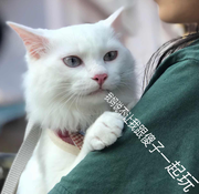 justwq的个人资料头像