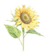 半玩伴学的个人资料头像