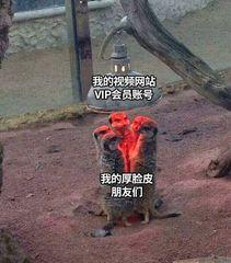 用过1000个微信小程序,挑了10个好用又好玩的!建议收藏