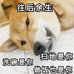 用过1000个微信小程序,挑了10个好用又好玩的!建议收藏