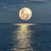 码不动同学的个人资料头像