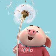 mengjinxiang63810的个人资料头像