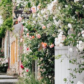 元气满满哒于2019-08-22 03:33发布的图片