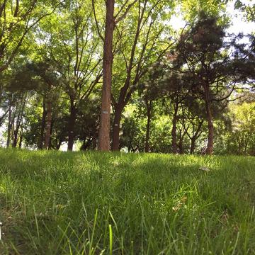 元气满满哒于2019-08-22 03:33发布的图片