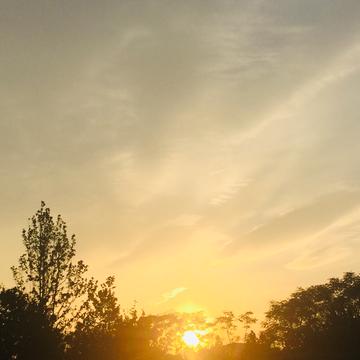 元气满满哒于2019-08-22 03:33发布的图片