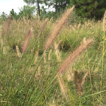 元气满满哒于2019-08-22 03:33发布的图片