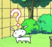 风定莲池自在香的个人资料头像