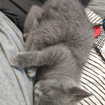 菜包爱吃汤包于2019-08-22 22:18发布的图片