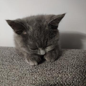 菜包爱吃汤包于2019-08-22 22:22发布的图片