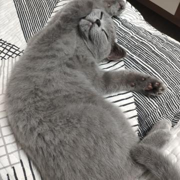 菜包爱吃汤包于2019-08-22 22:22发布的图片