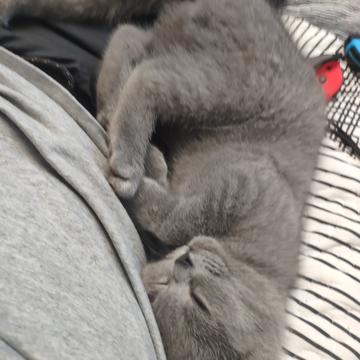 菜包爱吃汤包于2019-08-22 22:22发布的图片