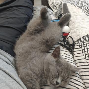 菜包爱吃汤包于2019-08-22 22:22发布的图片