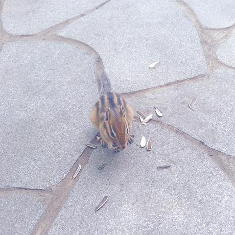 薛定谔的馒头于2019-08-23 13:12发布的图片