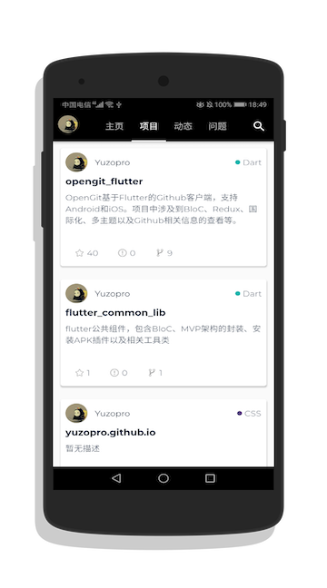 项目页
