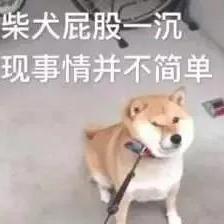 优秀员工不受影响于2019-08-24 16:59发布的图片