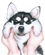 苏墨白的个人资料头像