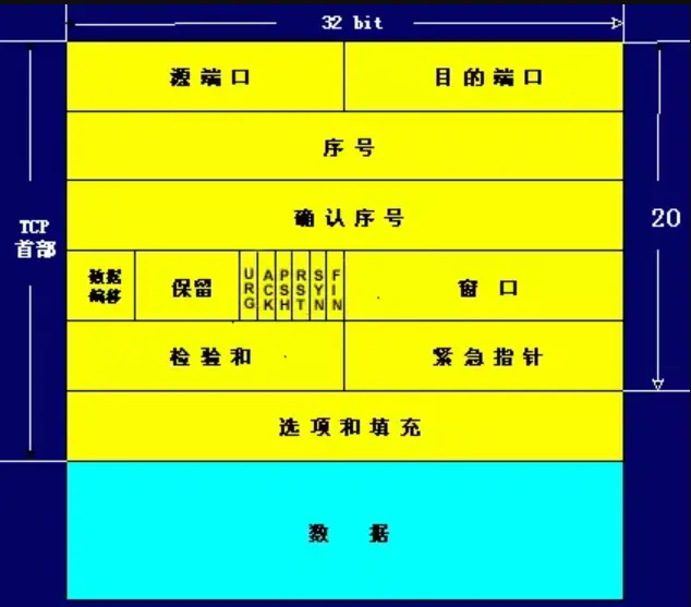 TCP报文头