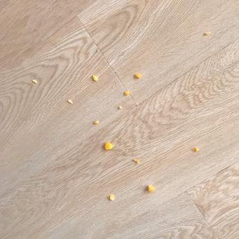 薛定谔的馒头于2019-08-24 22:32发布的图片