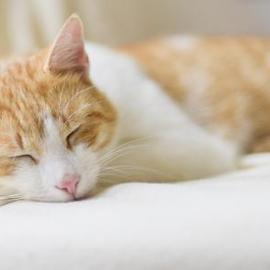 口嚼咖啡的牛马于2019-08-25 11:21发布的图片