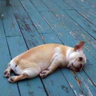 已注销于2019-08-26 08:36发布的图片