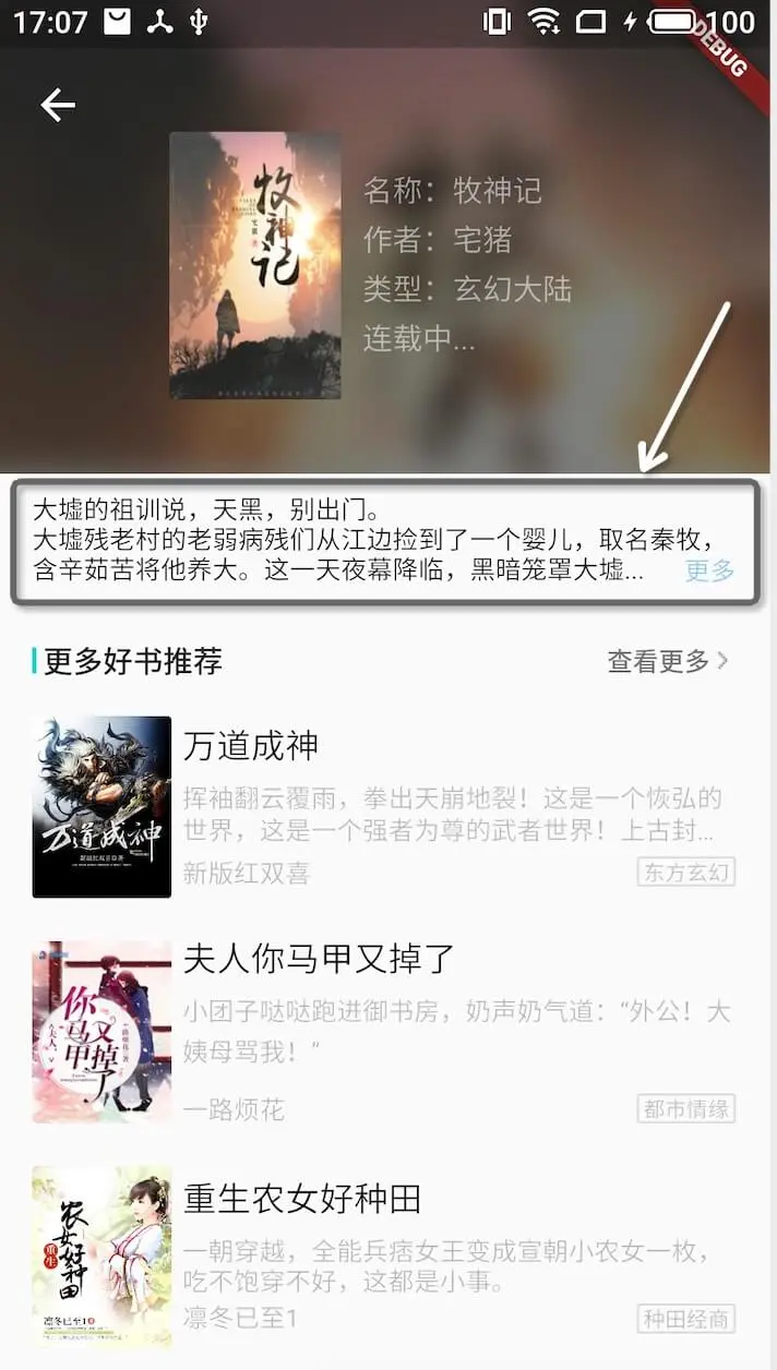 flutter stretchable text view