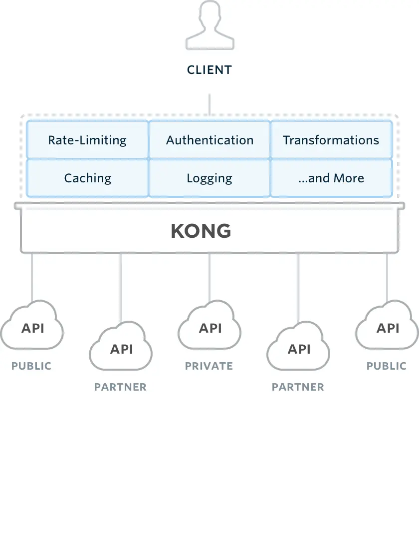 图片来源 Kong 官网