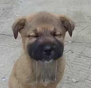 Tzhi的个人资料头像