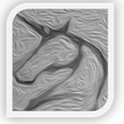 lxiaodao的个人资料头像