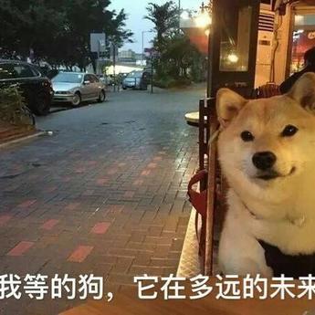 1568692443870于2019-08-28 10:55发布的图片