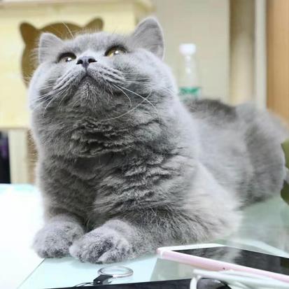 已注销于2019-08-29 13:50发布的图片