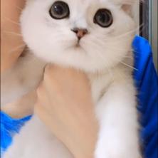已注销于2019-08-29 13:50发布的图片