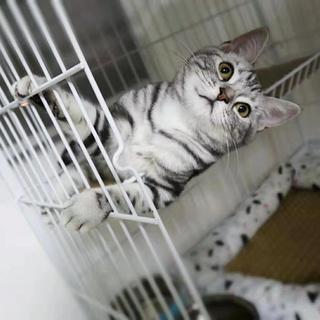 已注销于2019-08-29 13:50发布的图片