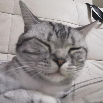 产品就可以为所欲为嘛于2019-08-29 13:58发布的图片