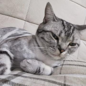 产品就可以为所欲为嘛于2019-08-29 13:58发布的图片