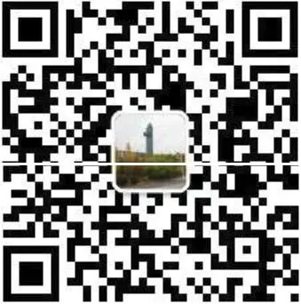 公众号编程珠玑