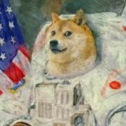 大木老湿的个人资料头像