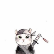 徐火火的个人资料头像