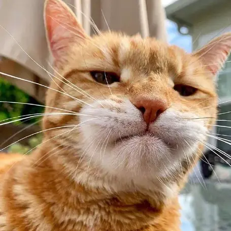 嘉松南路的日子于2019-08-30 20:03发布的图片