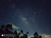 格调_FG的个人资料头像