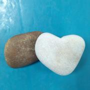 wyzzgo的个人资料头像