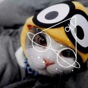 叽叽富唧唧的个人资料头像