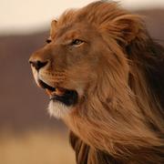 webjack的个人资料头像