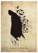 whydowefall的个人资料头像