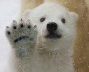 天魂地魄的个人资料头像