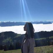 Vuestic的个人资料头像